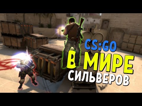 Видео: В МИРЕ СИЛЬВЕРОВ #24 | CS:GO