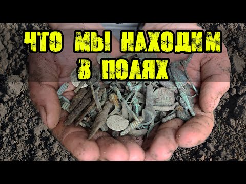 Видео: ЧТО МОЖНО НАЙТИ В ПОЛЕ? Реальный результат копа на древных поселениях, поиск с Equinox 800