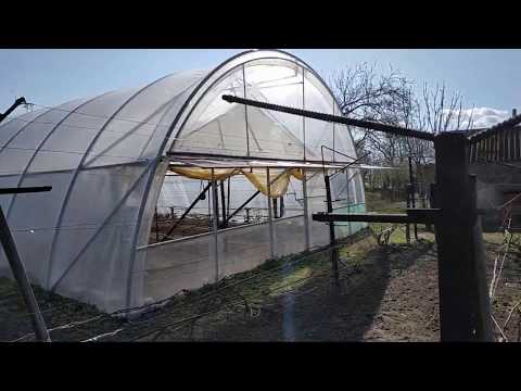 Видео: Теплица для винограда .Часть 1