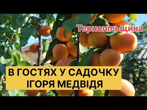 Видео: Сад, що ПЕРЕВЕРНУВ мою уяву! Це Сад Майбутнього!