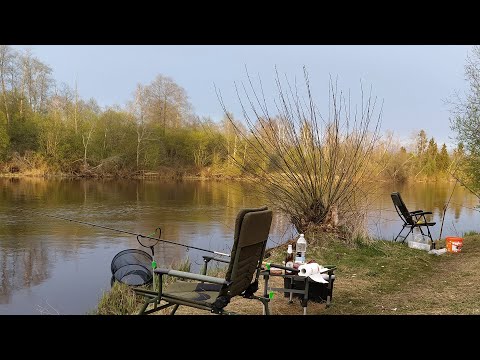 Видео: РЫБАЛКА С НОЧЁВКОЙ. Ловим весеннего ЛЕЩА. Ловля леща на ФИДЕР. Отдых на природе. ЯЗЬ или ГОЛАВЛЬ?
