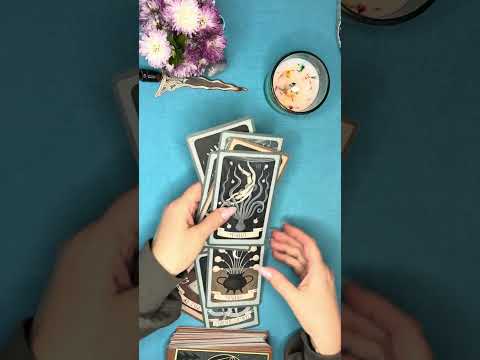 Видео: СОПЕРНИЦА⚡️ВСЁ о Вашей сопернице💯#треугольник #соперница #таро #бумеранг #бумерангсопернице #tarot 