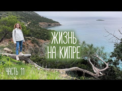 Видео: ЖИЗНЬ НА КИПРЕ, часть 11 | Мать Кипра, Кошачий монастырь, ванна Афродиты и две деревни