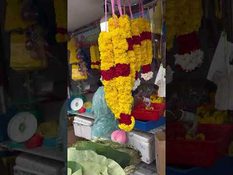 Видео: Чайнотаун и Маленькая Индия 