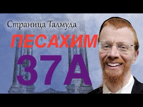Видео: Урок по Вавилонскому Талмуду. 37А