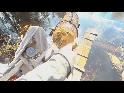 Видео: Зима  прошла   -  дел  прибавилось....