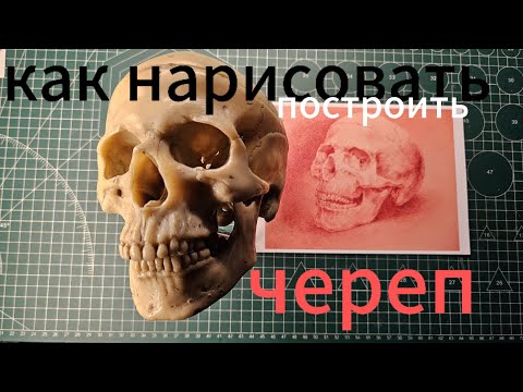 Видео: как нарисовать , построить череп. как обобщить сложную пластику. разбор ошибок в описании.