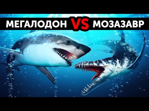 Видео: Что, если бы мегалодон вступил в схватку с гигантским морским мозазавром