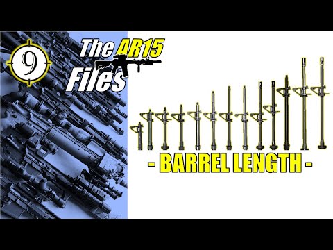 Видео: ФАЙЛЫ AR | Длина ствола и почему большинство выбирают неправильно