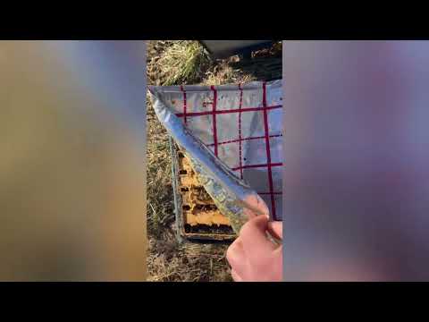 Видео: 9.01.2024 Різко похолодало