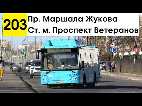 Видео: Автобус 203 "Пр. Маршала Жукова - ст. м. "Проспект Ветеранов"