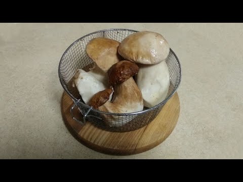 Видео: Белые грибы - как их чистить | Домоед