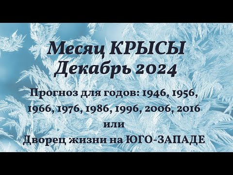 Видео: Ци Мэнь ПРОГНОЗ для рожденных в годы на 6, или ваш дворец жизни на юго-западе