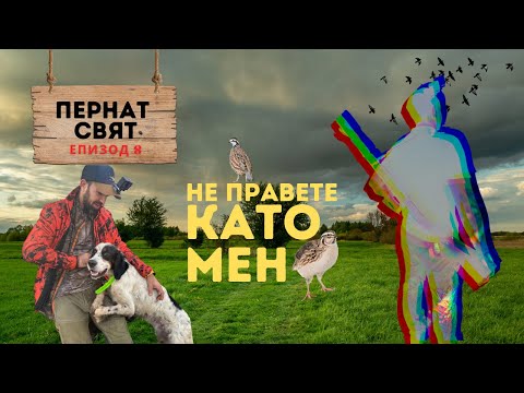 Видео: Пъдпъдъци в ДЪЖДА! ПЕРНАТ СВЯТ ЕП.8