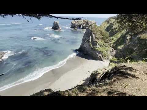 Видео: Сахалин, мыс Птичий 02.06.2024г.