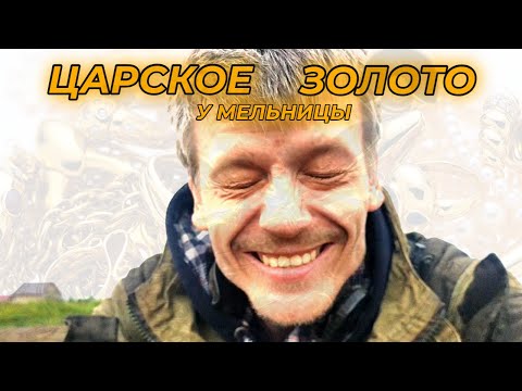 Видео: Коп Монет! ЗОЛОТО Царей! Я ЕГО НАШЕЛ!