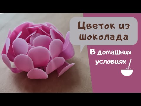 Видео: Шоколадные цветы для торта. 🍰 от АННЫ ГАЛИЧ 🌸