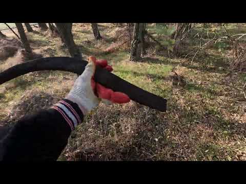 Видео: КОП МЕТАЛЛА  09.11.2024