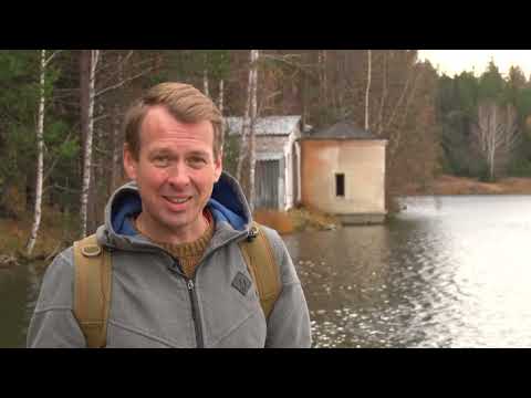 Видео: Если дома не сидится. Динас 20.10.2022