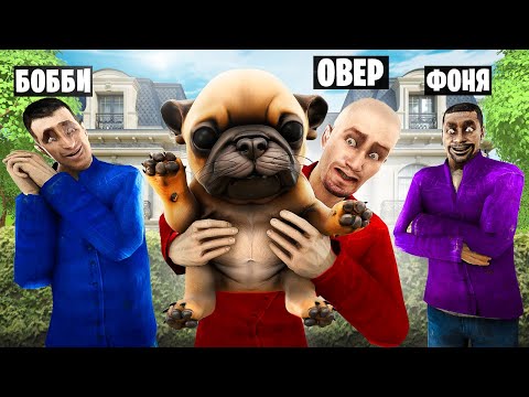 Видео: ЗАВЕЛ ПИББЛА! МОЙ НОВЫЙ ПИТОМЕЦ ПИББЛ! УГАР И БЕЗУМИЕ В Garry`s Mod