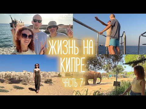 Видео: ЖИЗНЬ НА КИПРЕ, часть 7 | Пафос, Царские гробницы, мини-круиз, зоопарк