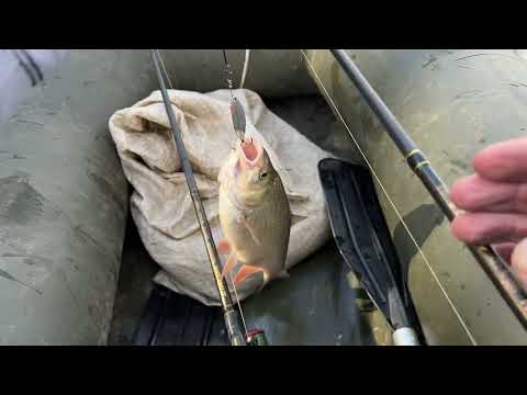 Видео: Кеть, август 2025.