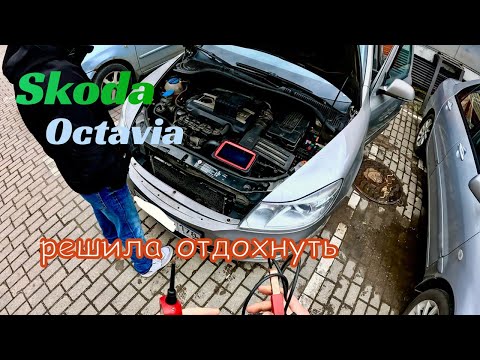 Видео: Octavia, Vesta и Santa Fe не заводятся. Диагностируем и запускаем.