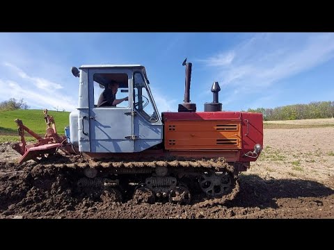 Видео: культивация на трактор т 150кусеничный