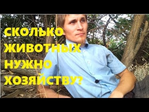 Видео: Сколько животных нужно для самообеспечения едой?