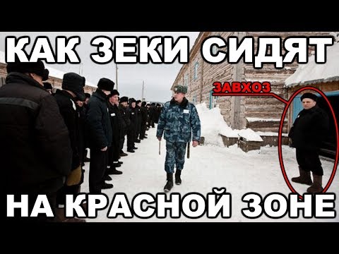Видео: Как сидят на красной зоне. Какую колонию называют красной