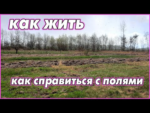 Видео: Выбираю трактор