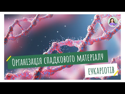 Видео: Організація спадкового матеріалу клітини еукаріотів