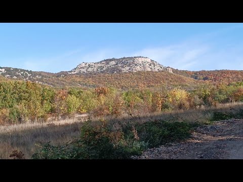 Видео: Гора Мачу. Испугали зайцев
