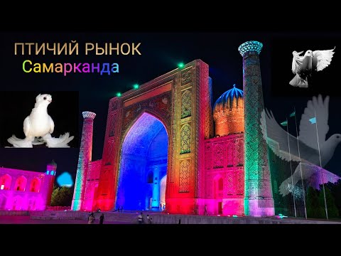 Видео: САМАРКАНД! СИЯБСКИЙ БАЗАР, ПТИЧИЙ РЫНОК. ПЛОЩАДЬ РЕГИСТАН. ГОЛУБЕВОДЫ  УЗБЕКИСТАНА ПЕРЕДАЮТ САЛАМ!