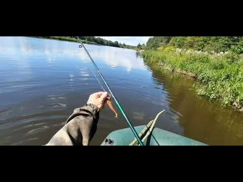 Видео: Спиннинг и жерлицы. Рыбалка на Немане. В поисках хищника.