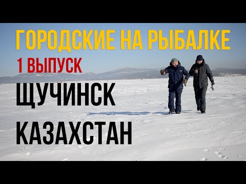 Видео: В погоне за престижной рыбой - Казахстан, Щучинск 2021 | Городские на рыбалке - 1 выпуск