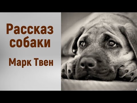 Видео: Марк Твен. Рассказ собаки. Аудиорассказ. Читает Тамара Овчаренко.