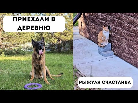 Видео: ПРИЕХАЛИ В ДЕРЕВНЮ НА ДР К РОДИТЕЛЯМ [влог] - приехали дядя и бабушка