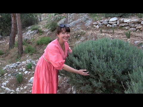 Видео: Турция, АЛАНИЯ, декабрь. Горы, крепость и канатная дорога! Турция нас сразила!