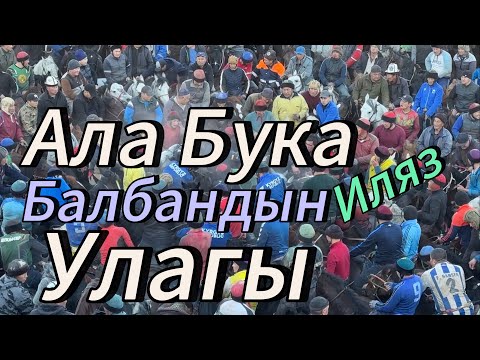 Видео: Балбандын Улагы Ала-Бука