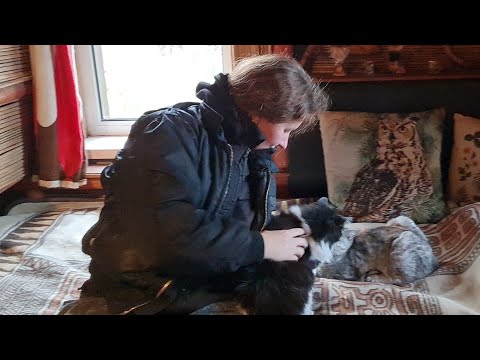 Видео: Завершение ремонта, забавная деревяшка и тихая деревня