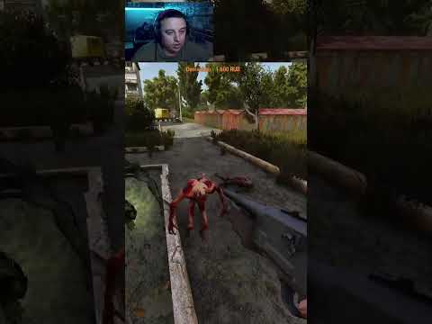 Видео: Псикровососы #stalker #games #shorts #игры #сталкер #прохождение #стрим #видеоигры #gaming