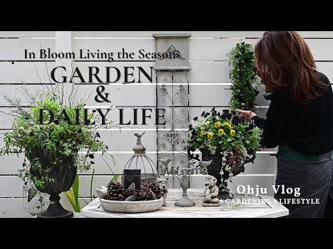 Видео: Создание элегантного зимнего сада｜ Три стильные композиции с виолами и анютиными глазками｜