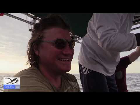 Видео: Как мы Чуть не Погибли в Панаме. Двое Суток в Лодке.