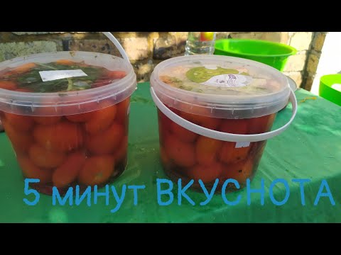 Видео: ПРОВЕРЕННЫЙ Квашеные помидоры в банке ! БЫСТРО/ ВКУСНО/В селе у СВЕКРУНЬКИ !🍅👍👌