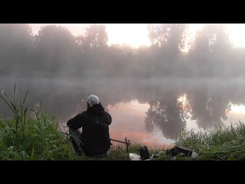 Видео: Рыбалка на донки Луга