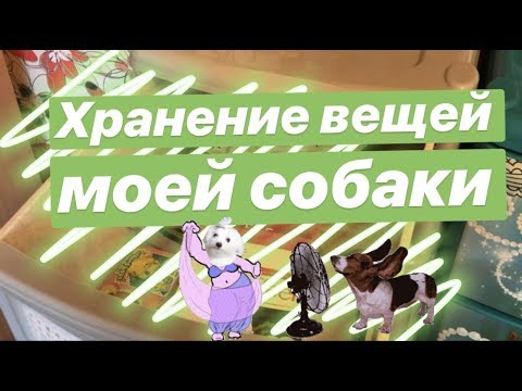 Видео: Где хранятся вещи моей собаки? | Хранение вещей и средств для ухода