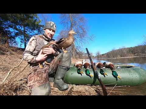 Видео: СУПЕР ОХОТА с подсадными. Ружье ИЖ-58 20 калибра.