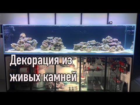 Видео: Морской аквариум 3 метра! Монтаж декорации из живых камней @nikolasvr79