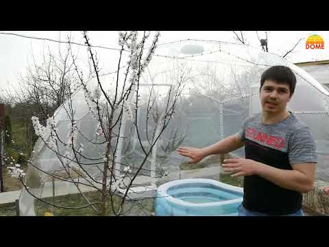 Видео: DOME SOTA - купольная беседка, круглое летнее кафе, навес для бассейна, зимний сад, глэмпинг и др.